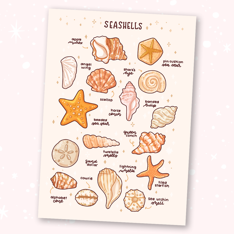 Sweet Seashells A5 Old Thank You Card